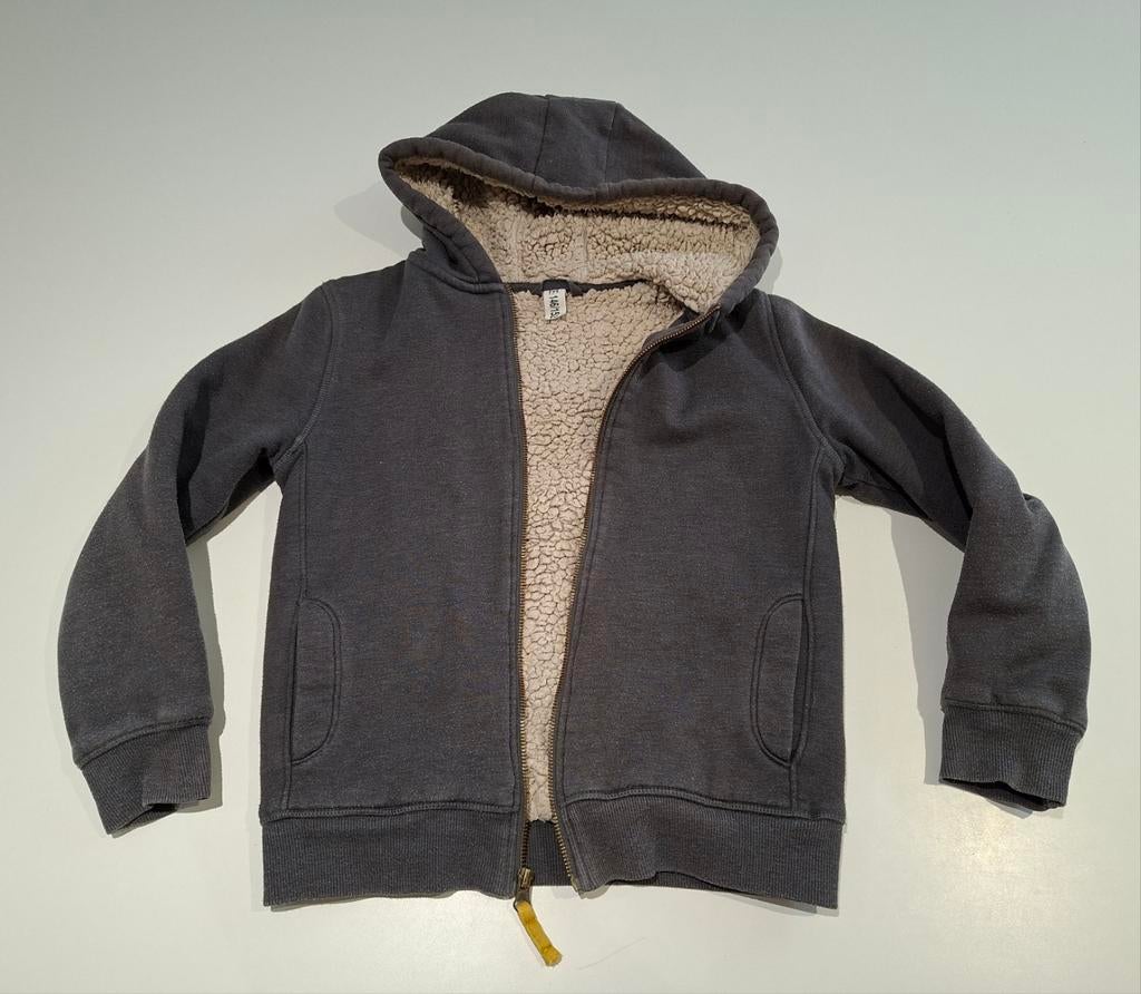 Teddy golf hema 146/152, Kinderen en Baby's, Kinderkleding | Maat 146, Gebruikt, Jongen of Meisje, Trui of Vest, Ophalen of Verzenden