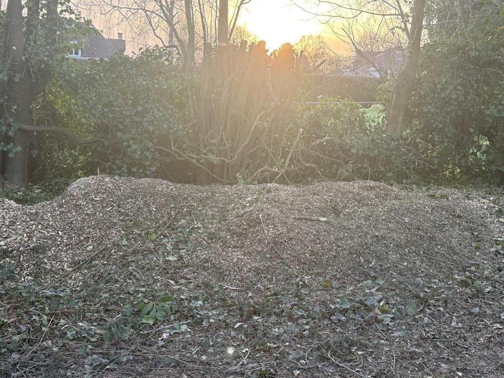 HOUTSNIPPERS OM TE GEVEN, Tuin en Terras, Ophalen, Overige houtsoorten, Takken