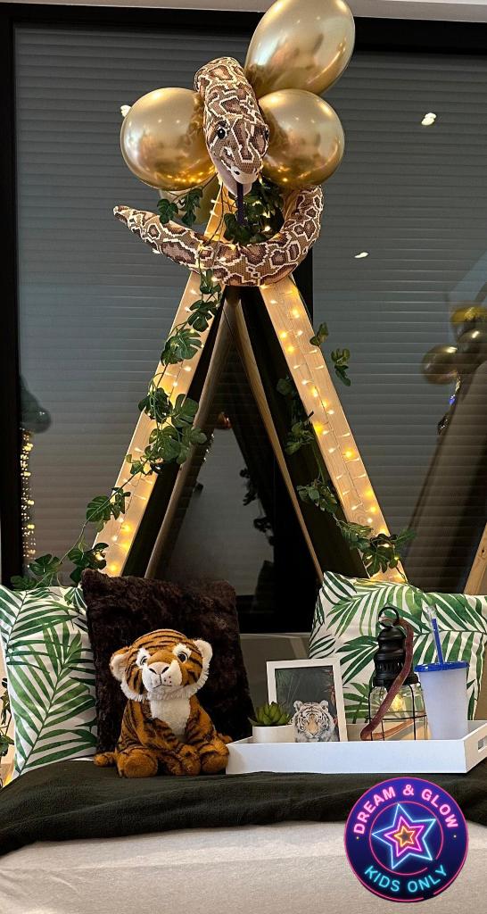 Teepee-feestconcept, Ophalen, Gebruikt