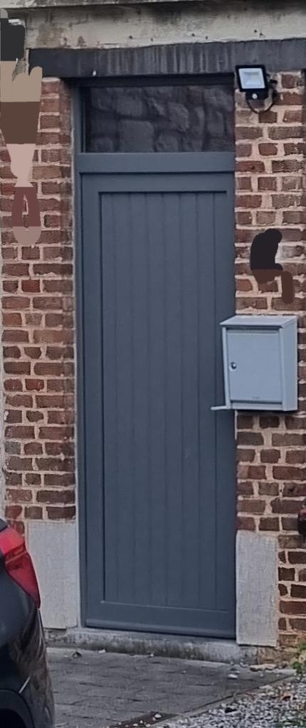 Porte, Bricolage & Construction, Porte extérieure, Synthétique, Enlèvement, 215 cm ou plus