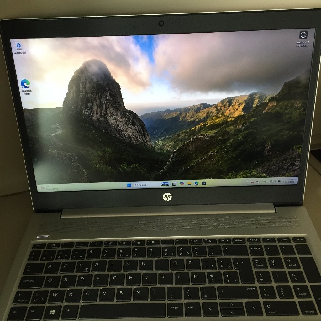 Laptop HP ProBook 450 G6, i5, Heel goede conditiê!!, Ophalen, Hp, 256 GB, Met videokaart