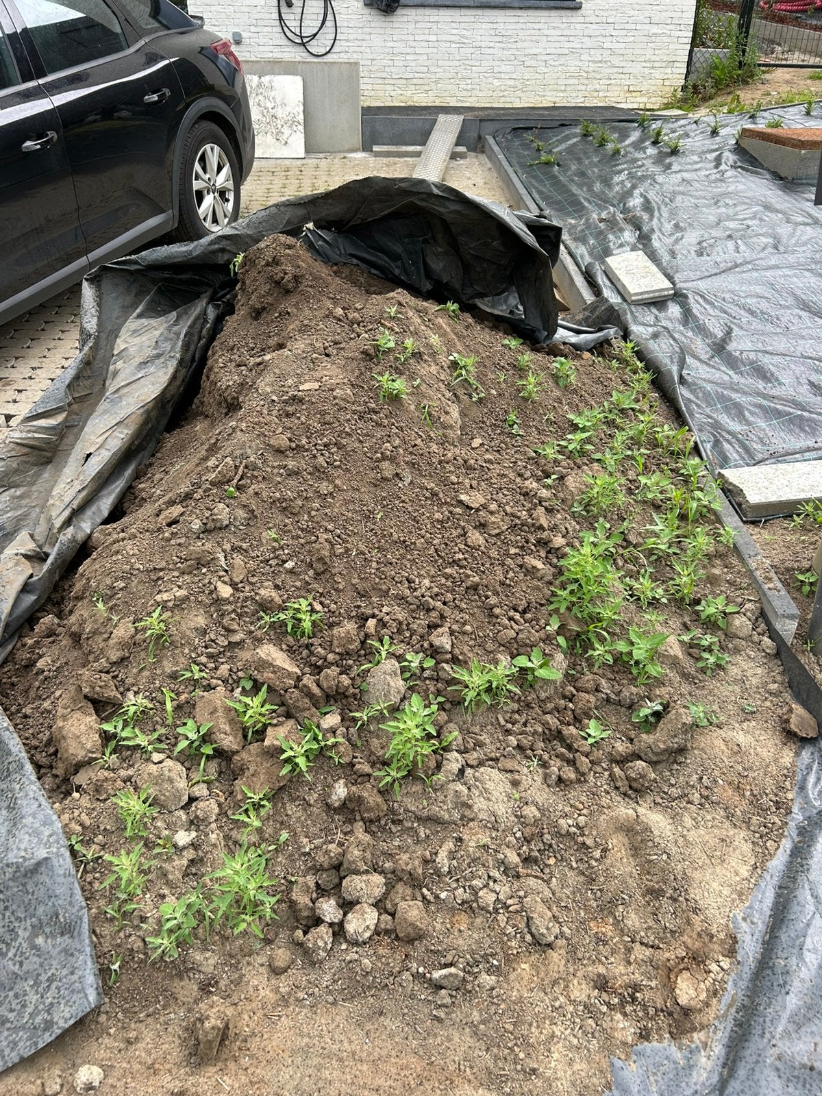 Te koop: gezuiverde en bemeste teelaarde, Tuin en Terras, Zand, Ophalen, Nieuw