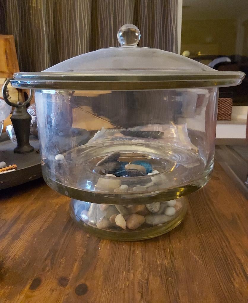 Exsiccator / desiccator in glas voor labo, Ophalen