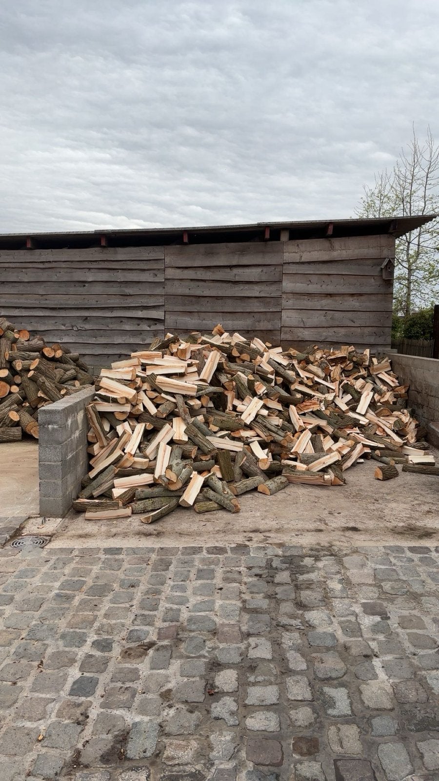 Droog brandhout, Ophalen of Verzenden, Overige houtsoorten, Blokken