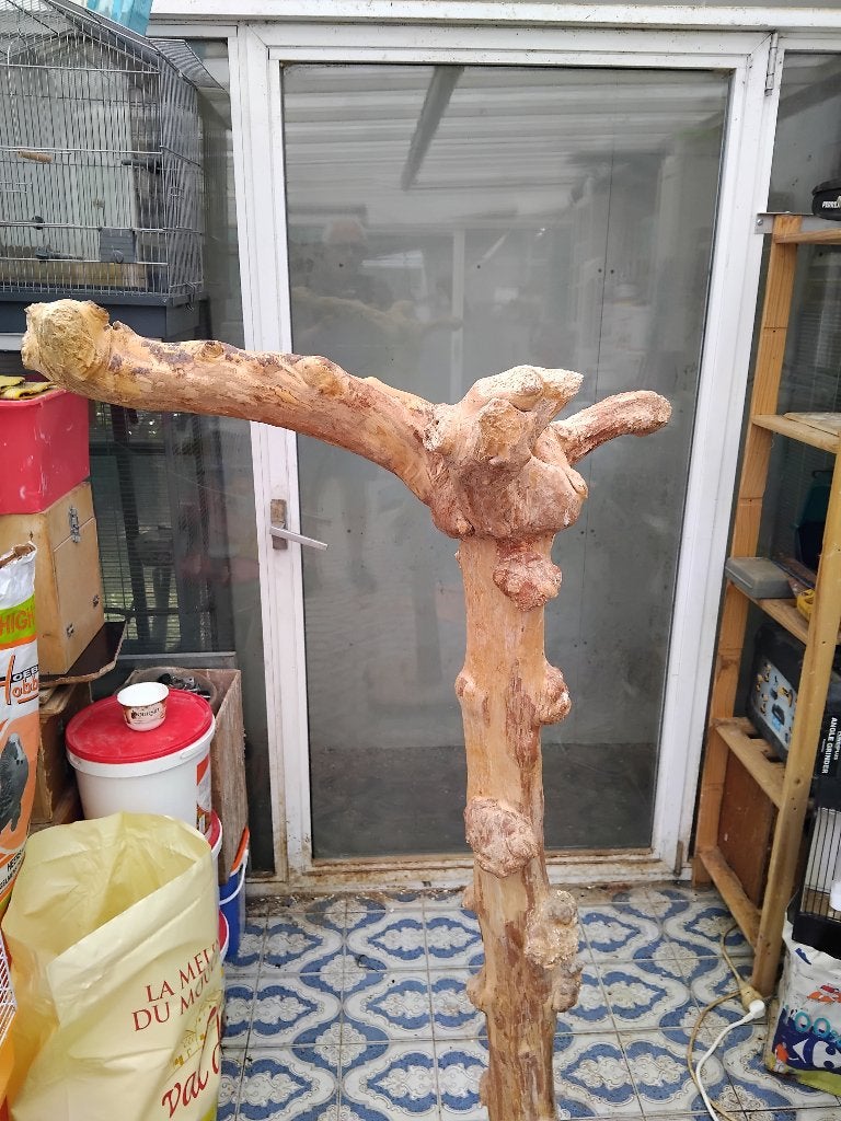 Arbre de Java, Dieren en Toebehoren, Ophalen, Gebruikt, Hout, Volière