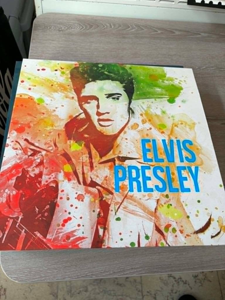 Elvis lp, The original debut recordings, limited edition,, Cd's en Dvd's, Vinyl | Rock, LP, Beschermende buitenhoes, Ophalen of Verzenden