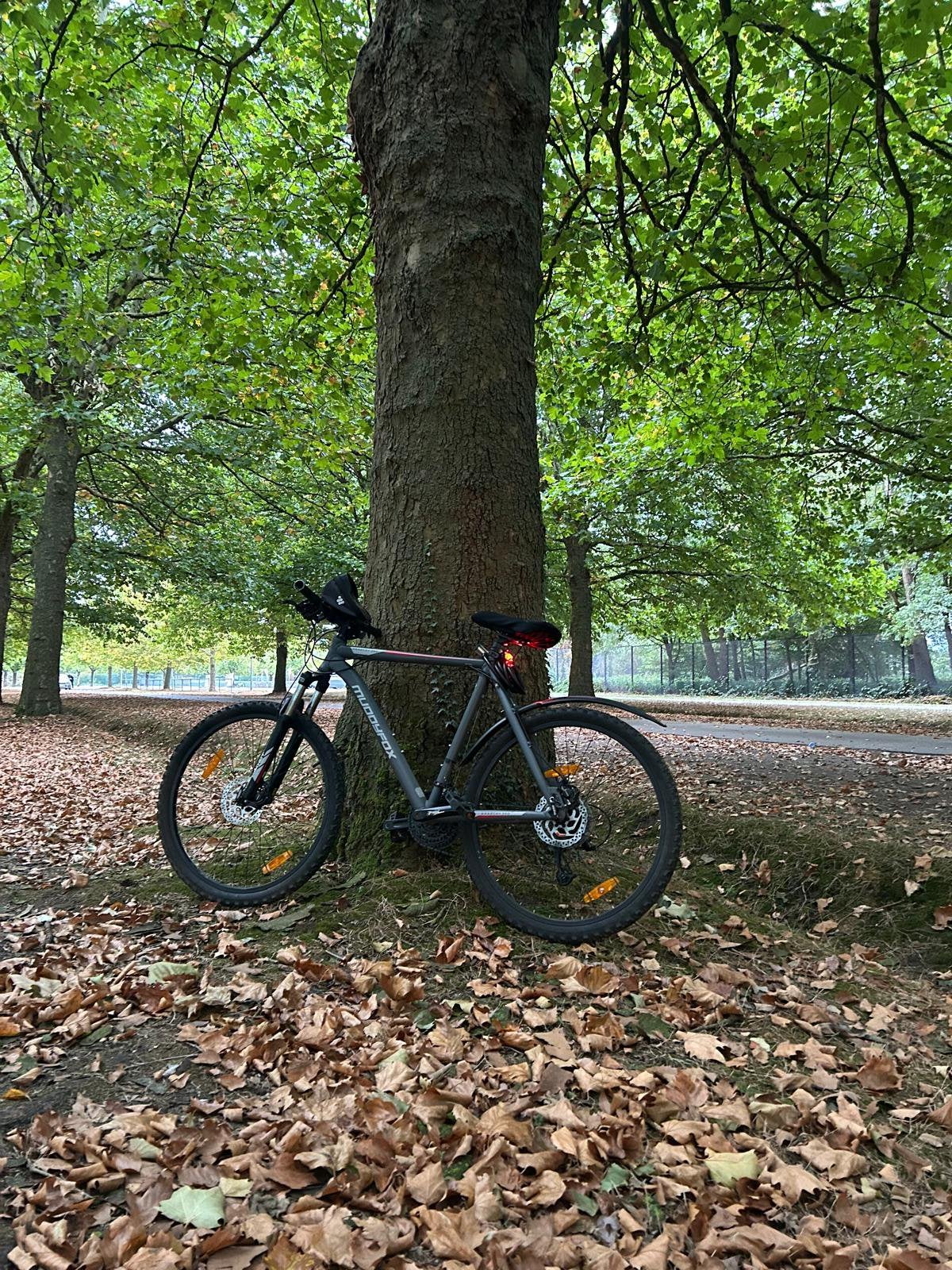 Muddyfox Anarchy 3.0 -Mountainbike, Ophalen, Zo goed als nieuw