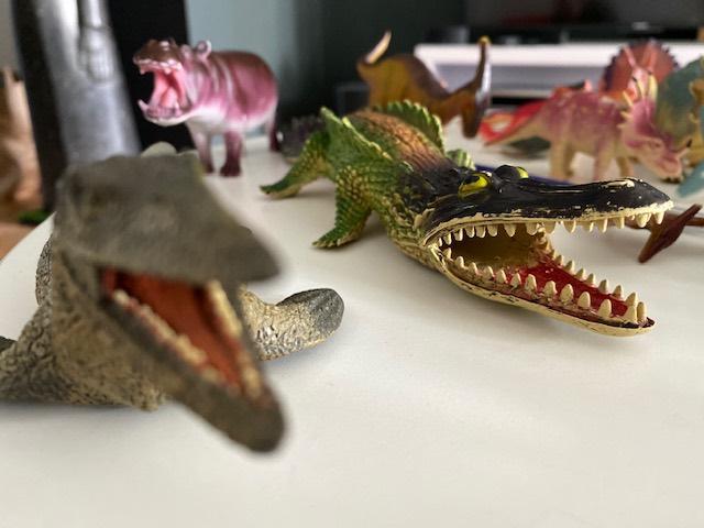 Verzameling Dinosaurussen, Ophalen, Zo goed als nieuw