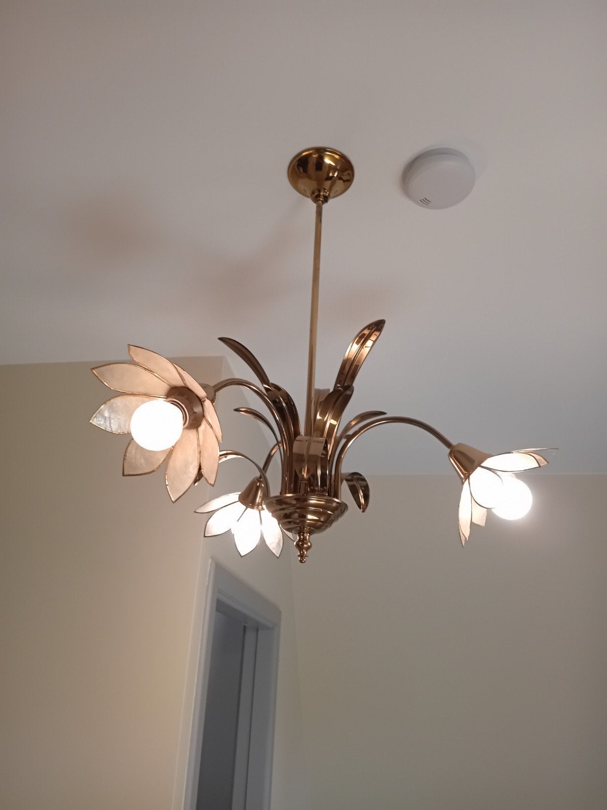 lichter met 3 bloemen, Ophalen