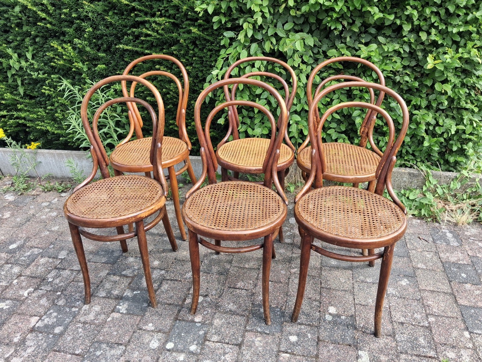 6 thonet nr14 stoelen met cannage,  allemaal gestempeld., Ophalen