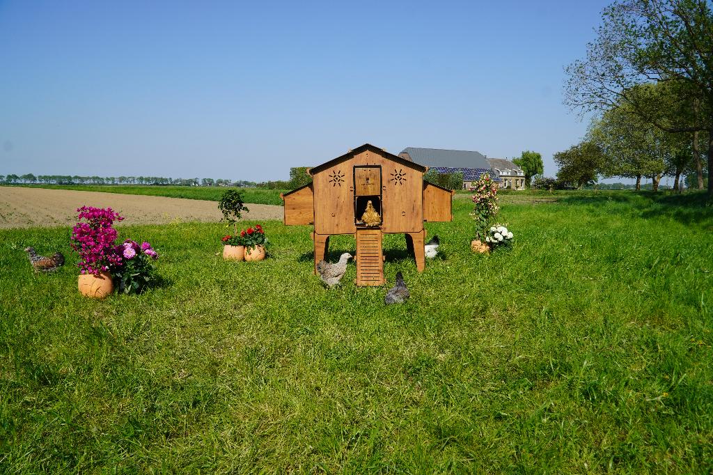 Trespa Kippenhok Cucciolotta | Duplex 4XL, Enlèvement ou Envoi, Neuf, Poulailler