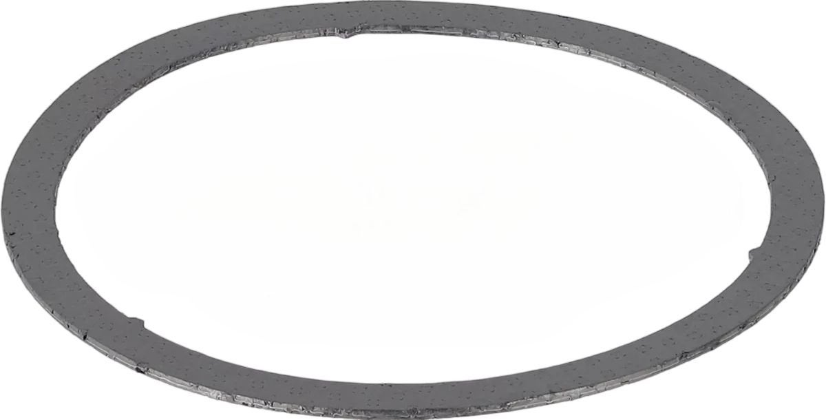 DAF BPV (TERUGDRUKKLEP) PAKKING 1886111NO, -, -, Nieuw, DAF