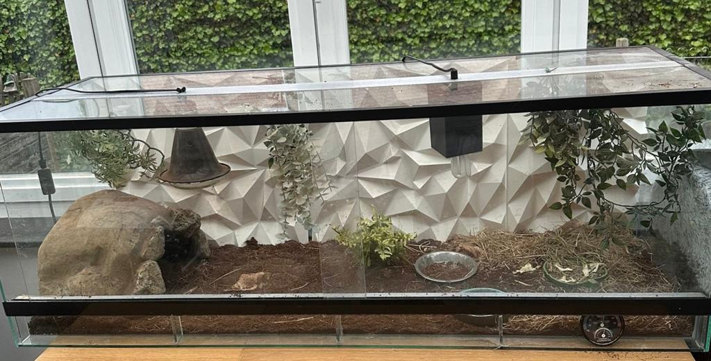 Terrarium, Enlèvement, Comme neuf, Terrarium ou Paludarium