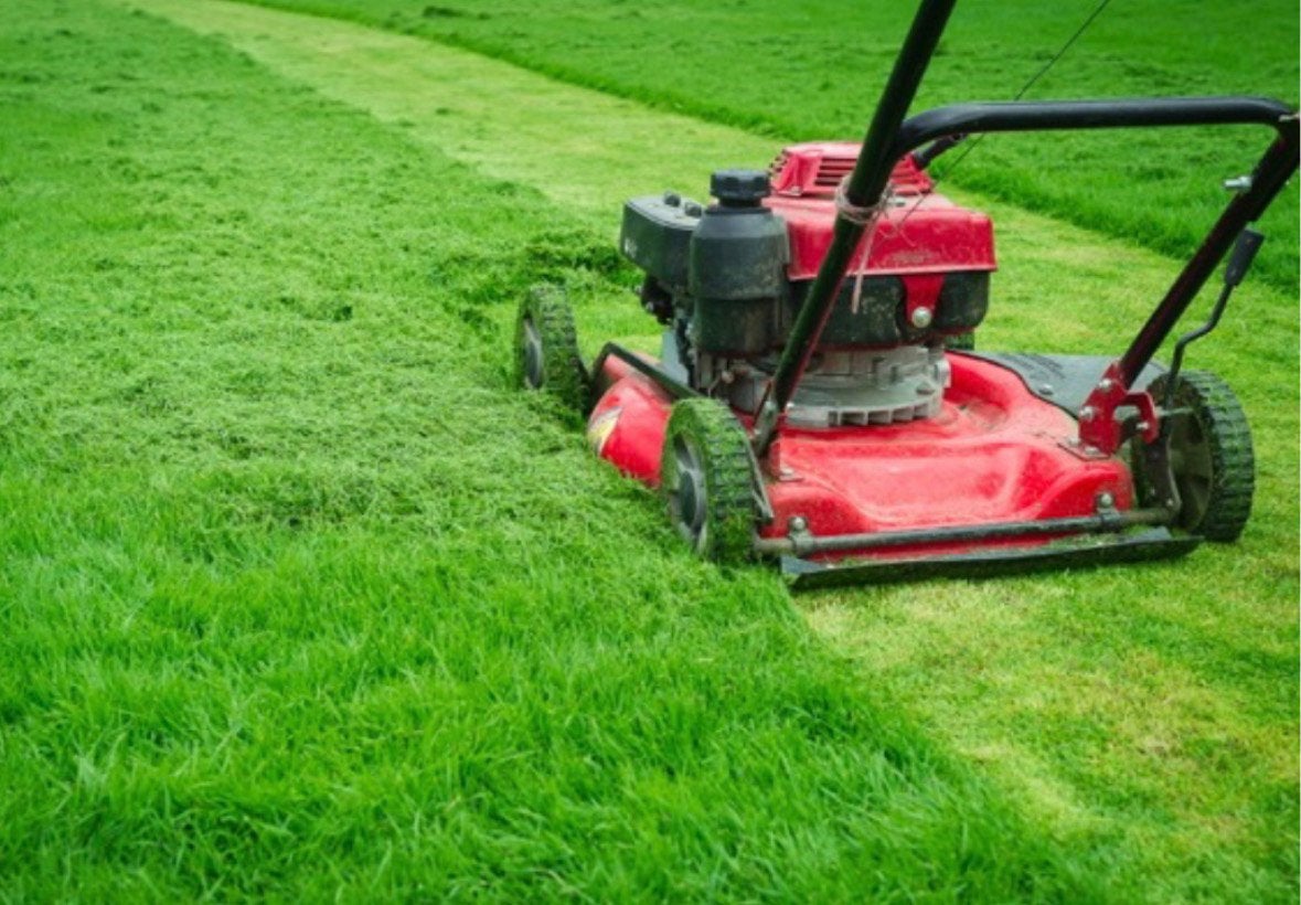 Gras maaien, Jardin & Terrasse, Tondeuses à gazon, Comme neuf, Enlèvement