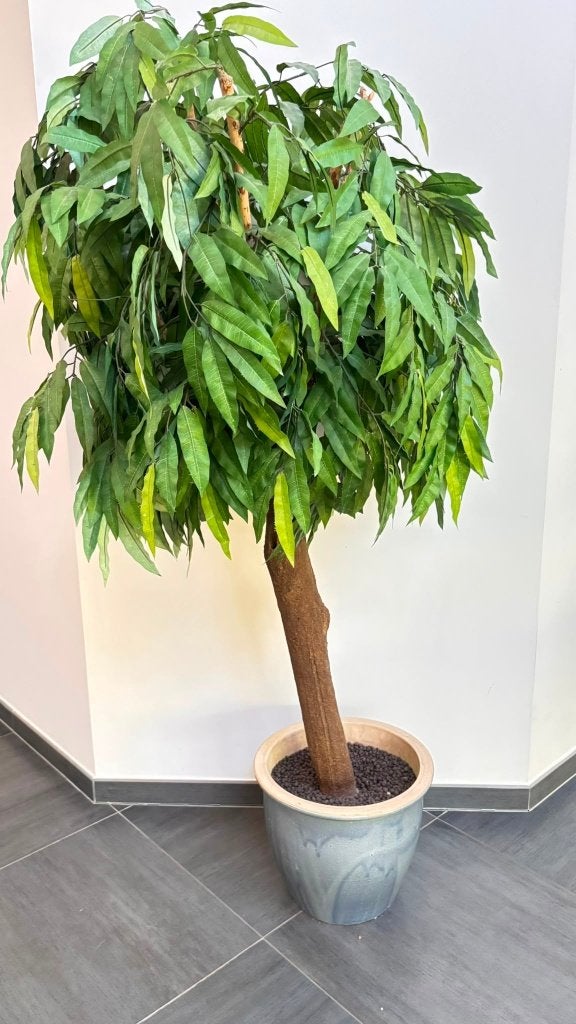 Grote kunstplant / kunstboom – 175 cm – inclusief sierpot, Ophalen, Groen, Overige stijlen, Kunststof