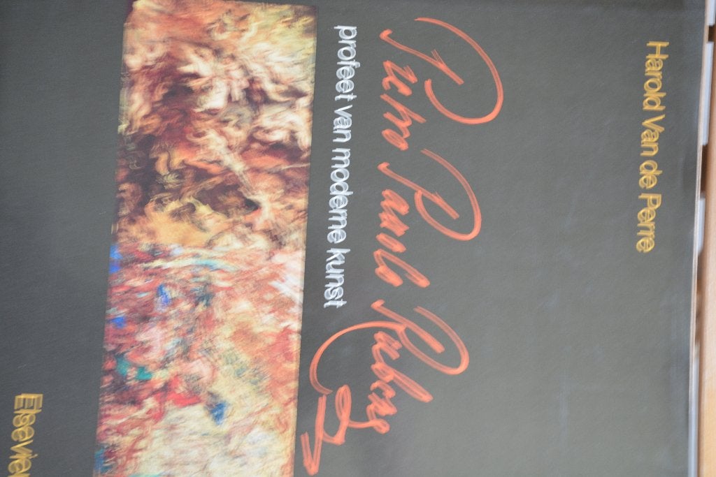 Pietro Paulo Rubens, Boeken, Kunst en Cultuur | Beeldend, Zo goed als nieuw, Schilder- en Tekenkunst, Ophalen