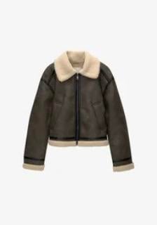 Winterjas, Vêtements | Femmes, Vestes | Hiver, Enlèvement, Porté, Taille 38/40 (M), Brun