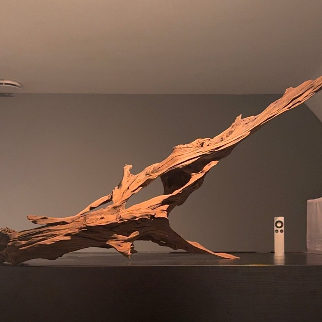XXL Stuk Kienhout / Spiderwood / Driftwood, Hout Decoratie, Ophalen of Verzenden, Decoratie