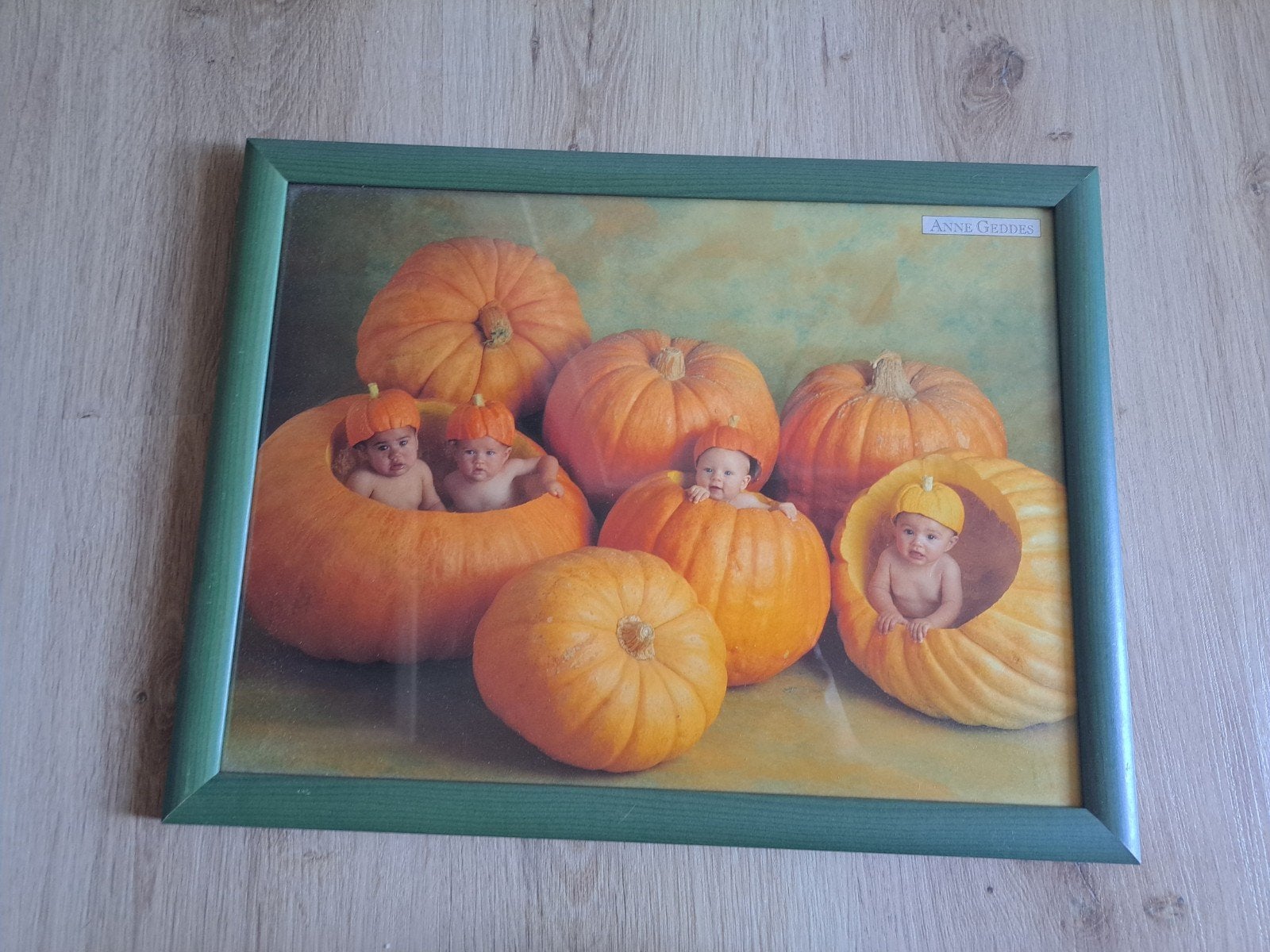 Anne Geddes Kaders, Antiek en Kunst, Kunst | Schilderijen | Klassiek, Ophalen