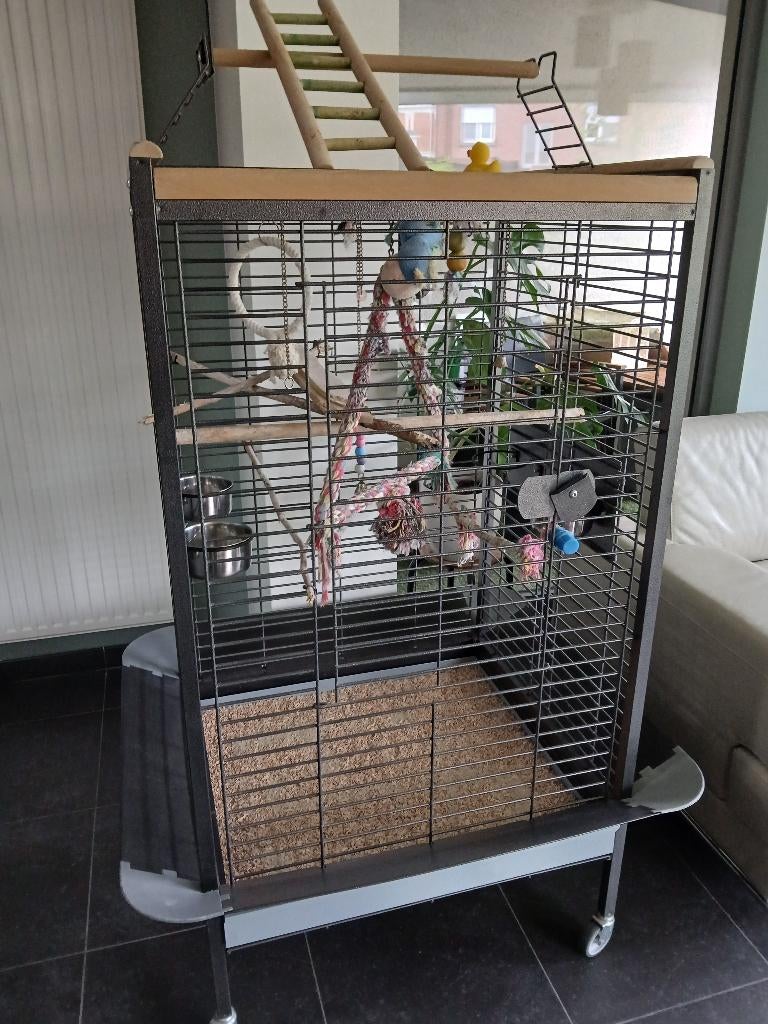 Papegaaien kooi, Ophalen, Zo goed als nieuw, Aluminium, Vogelkooi