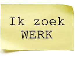 İk zoek werk als chauffeur B!, Vacatures, Vacatures | Chauffeurs