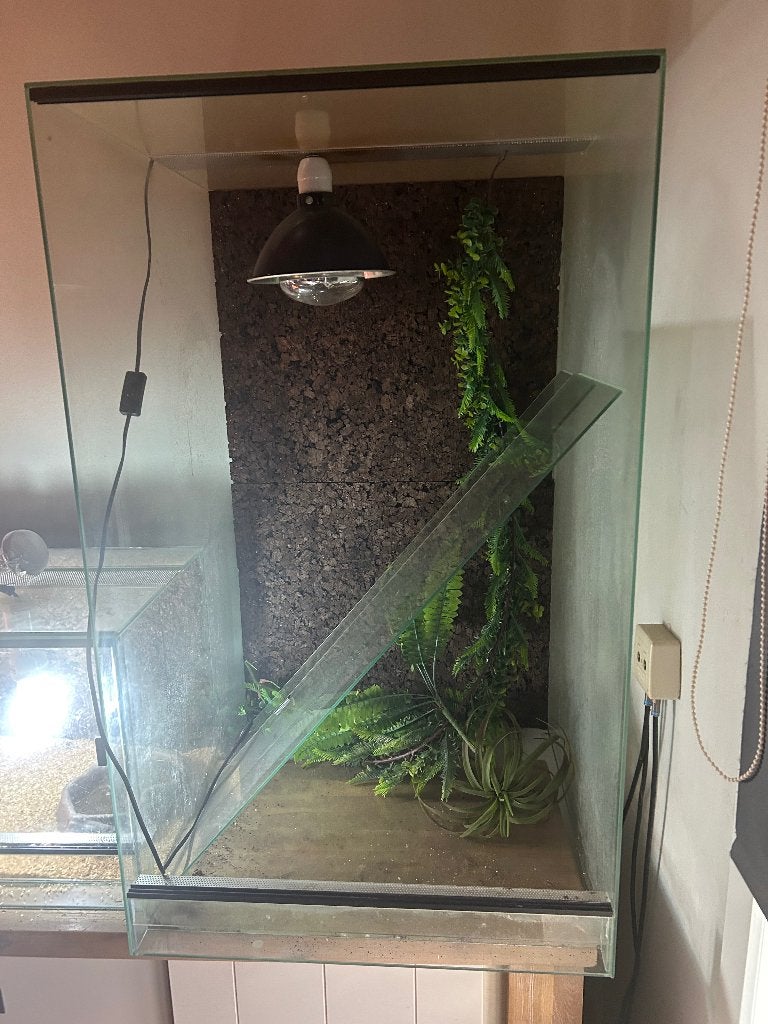 Terrarium 100x60x60, Animaux & Accessoires