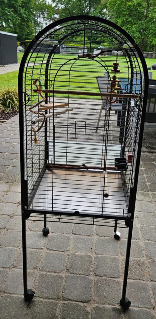 Vogelkooi, Enlèvement, Cage à oiseaux