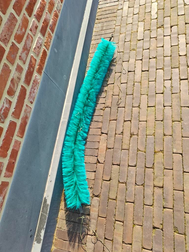 Kweekborstel kweekborstelkoi broedborstel, Dieren en Toebehoren