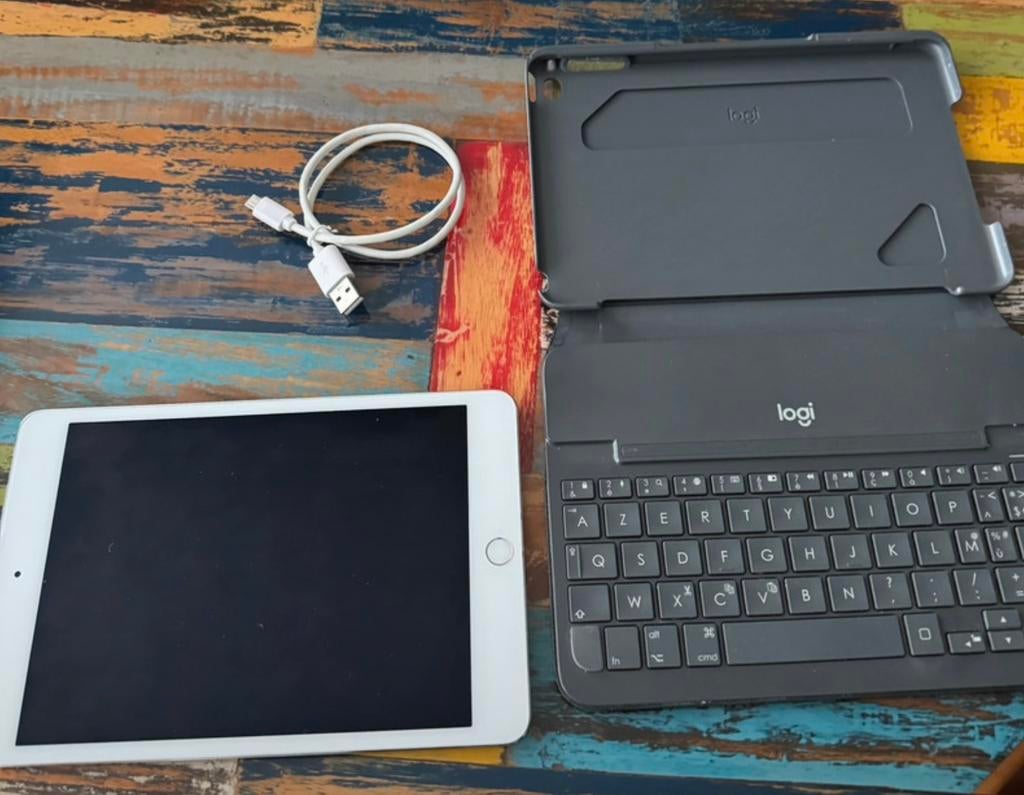 iPad mini 4, Computers en Software, Android Tablets, Ophalen, Zo goed als nieuw, 128 GB