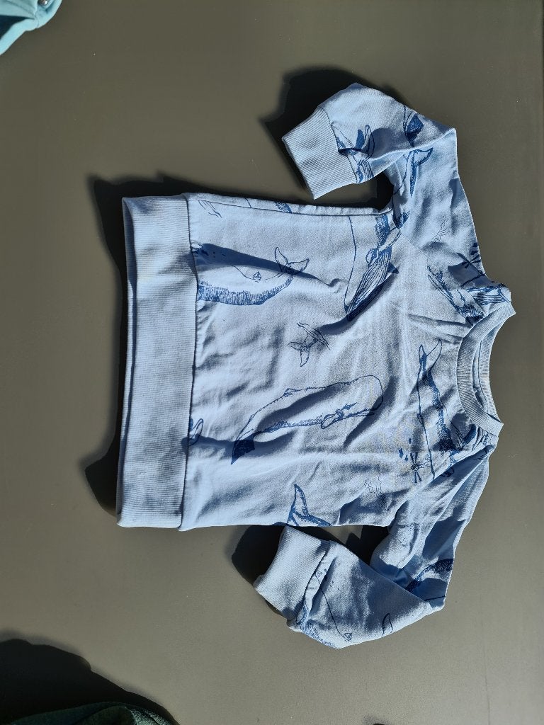 pull, trui met walvissen, Name It, 92, Enfants & Bébés, Vêtements de bébé | Packs de vêtements pour bébés, Enlèvement, Comme neuf