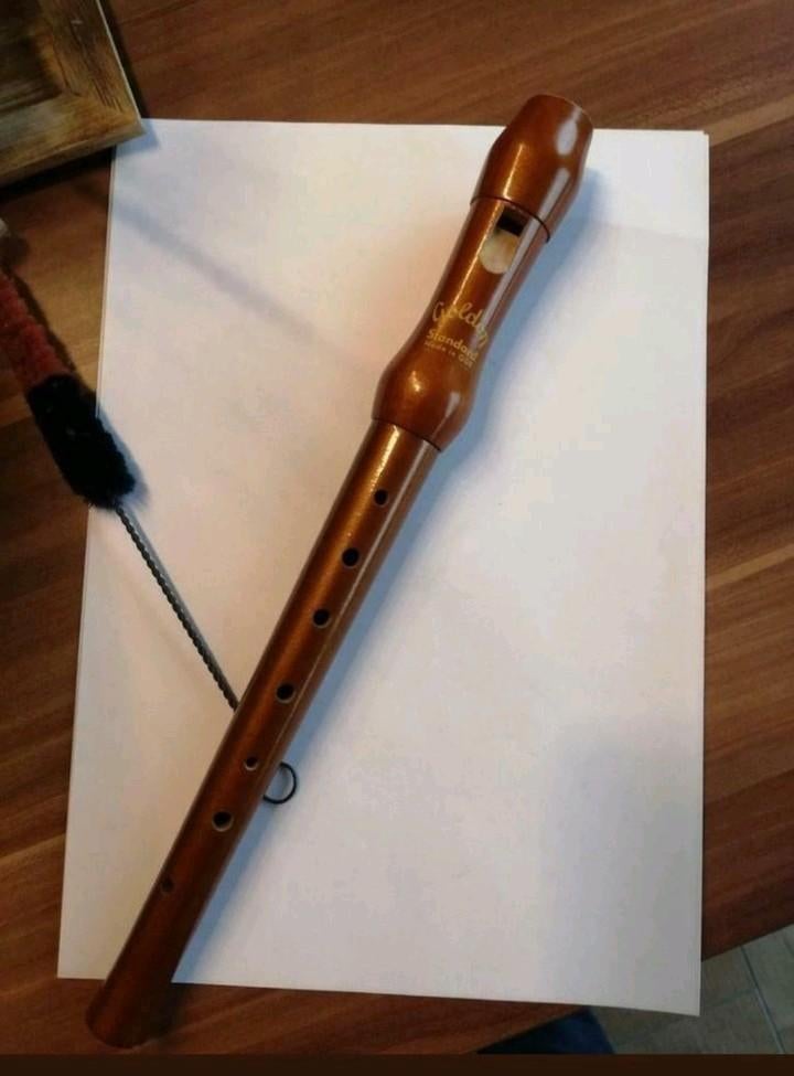Vintage Blokfluit : Goldon Standard (Made in GDR), Muziek en Instrumenten, Blaasinstrumenten | Blokfluiten, Gebruikt, Sopraan of Sopranino