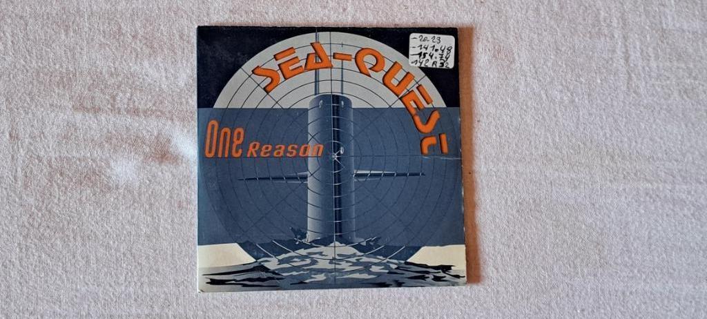 Sea-quest one reason, Enlèvement ou Envoi