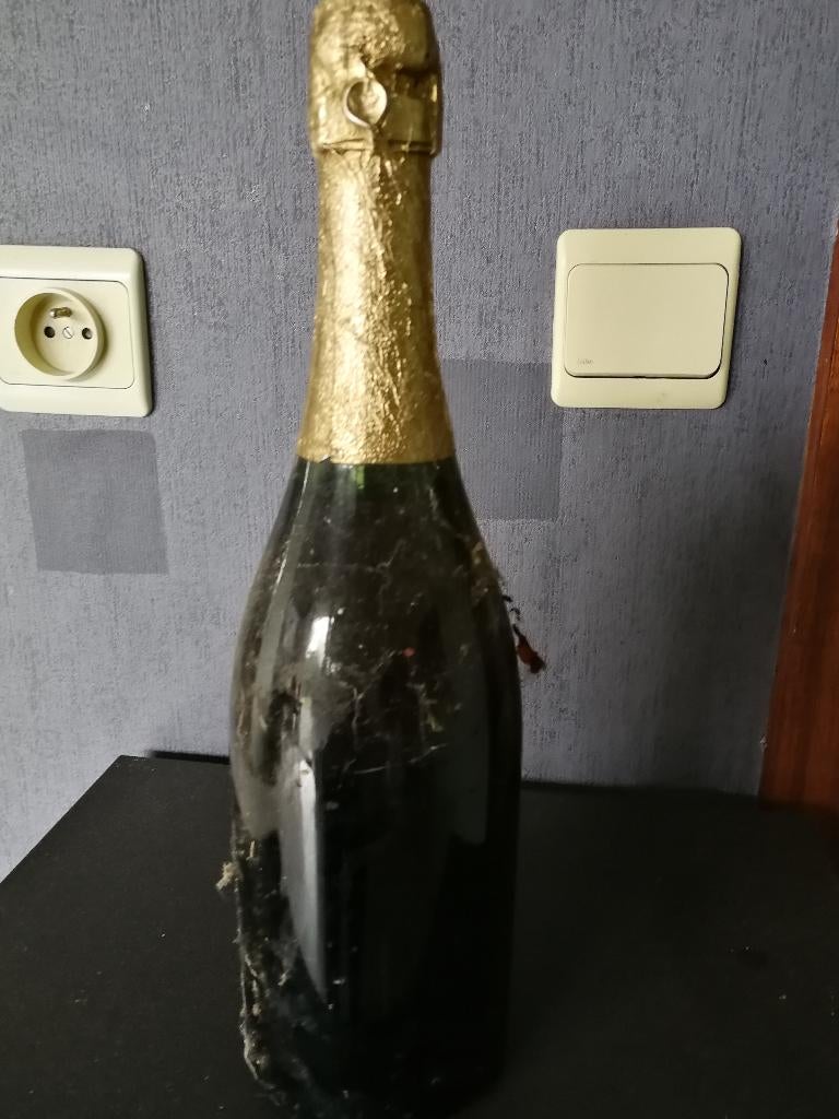 oude volle fles bubbels zonder etiket, Enlèvement, Pleine