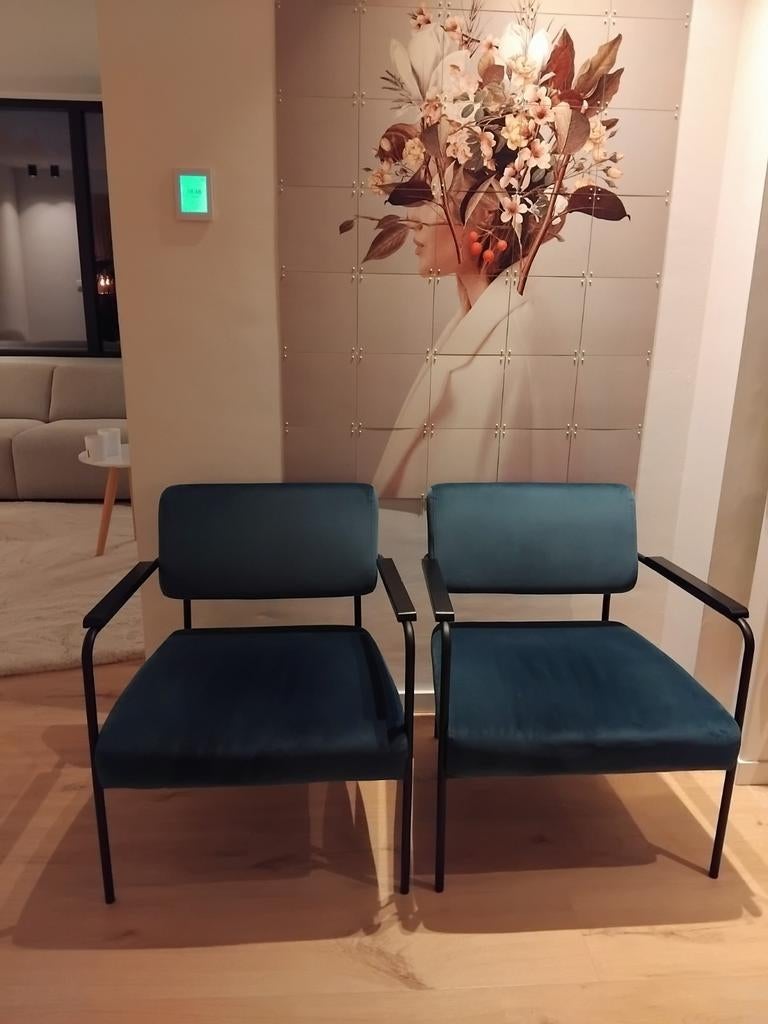 Fauteuils, Huis en Inrichting, Fauteuils, Ophalen