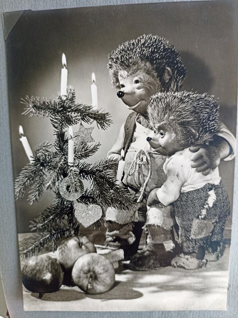 Postkaarten MECKI, de egel., Verzamelen, Verzenden, 1960 tot 1980, Ongelopen, Kinderen