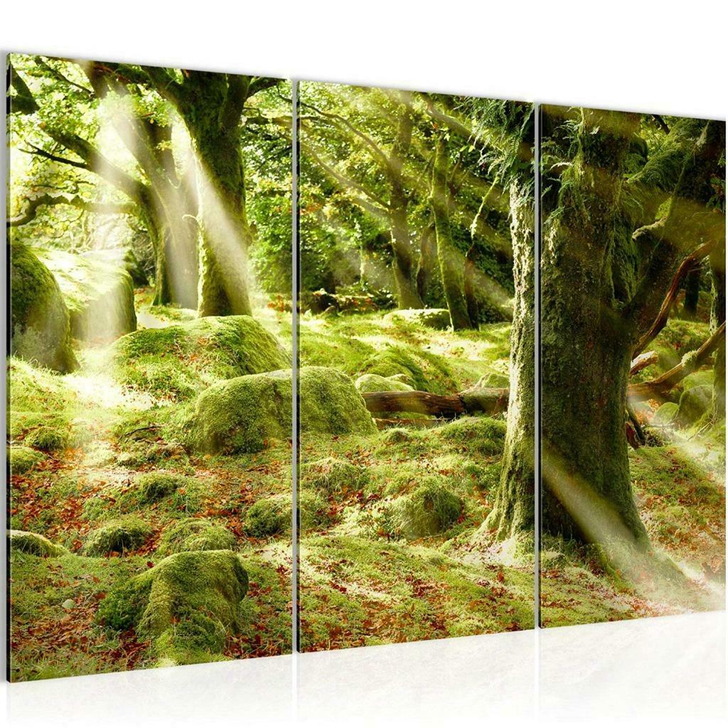 Canvas schilderij 3 luik Bos natuur Zonlicht 130 x 80 cm, Envoi