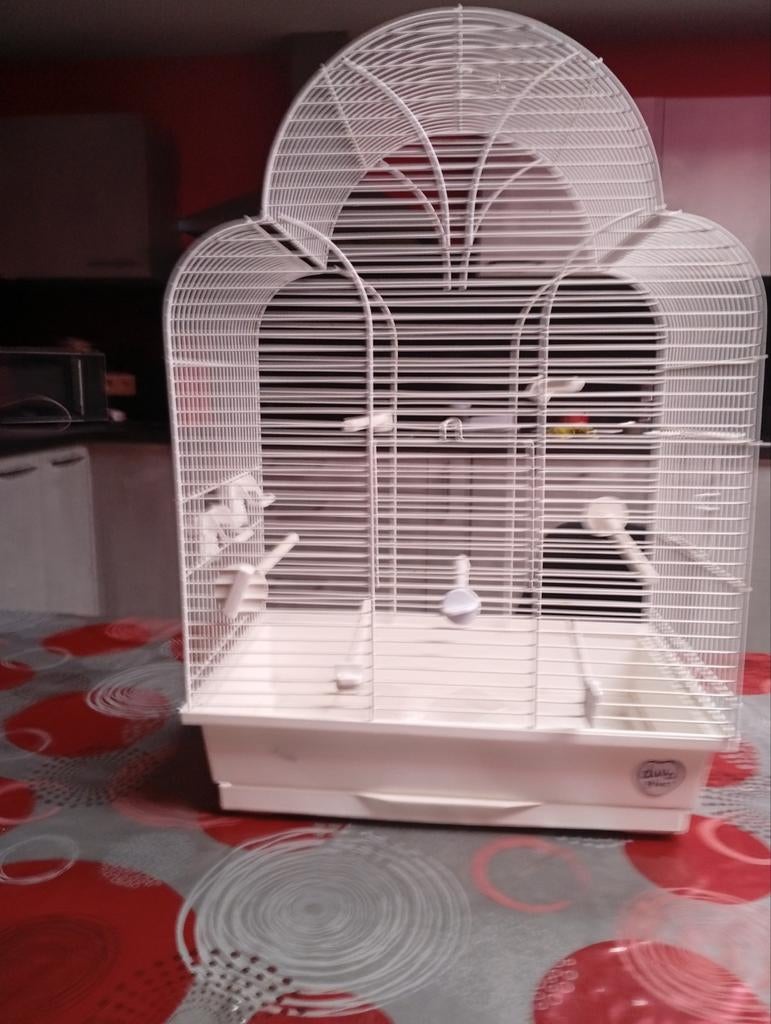 Cage pour oiseaux