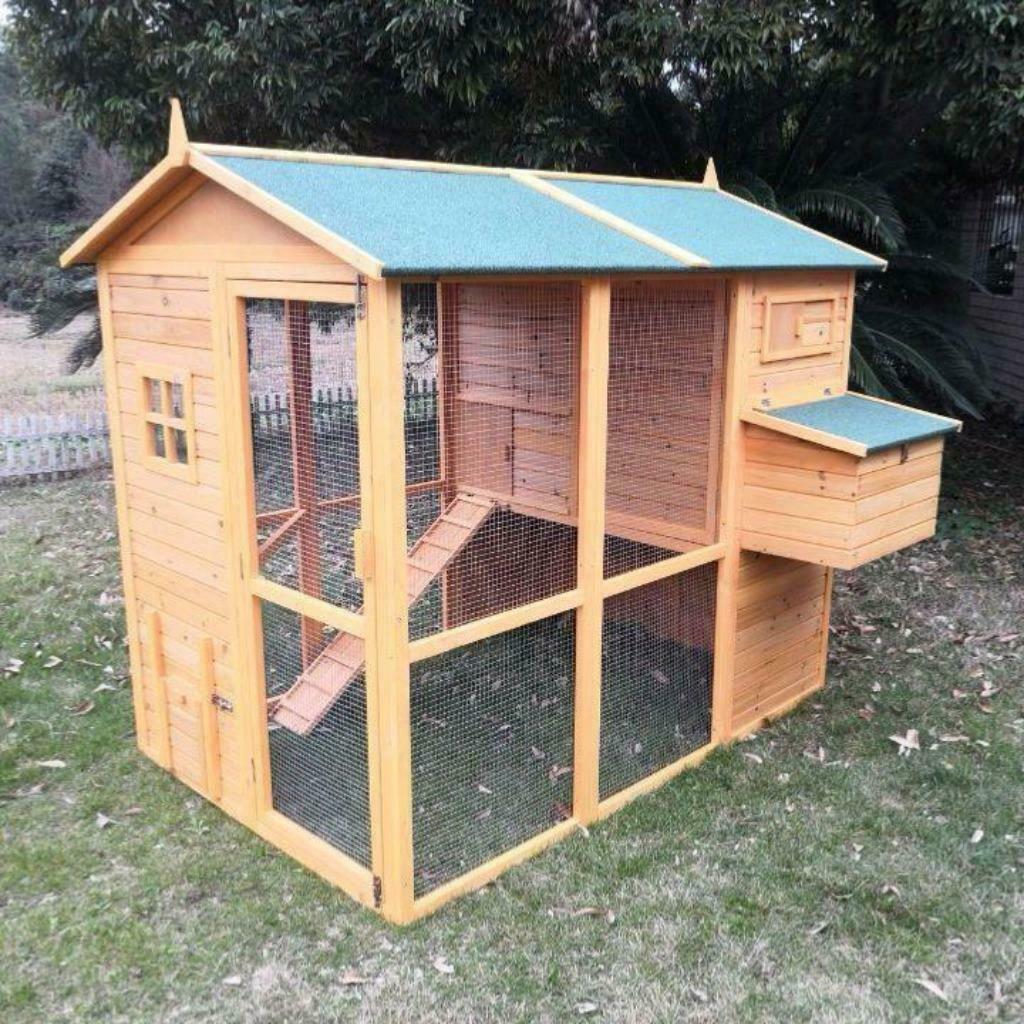 Poulailler XXL abri poule GEANT enclos poule oie canard coq, Animaux & Accessoires, Volatiles | Accessoires, Neuf, Poulailler