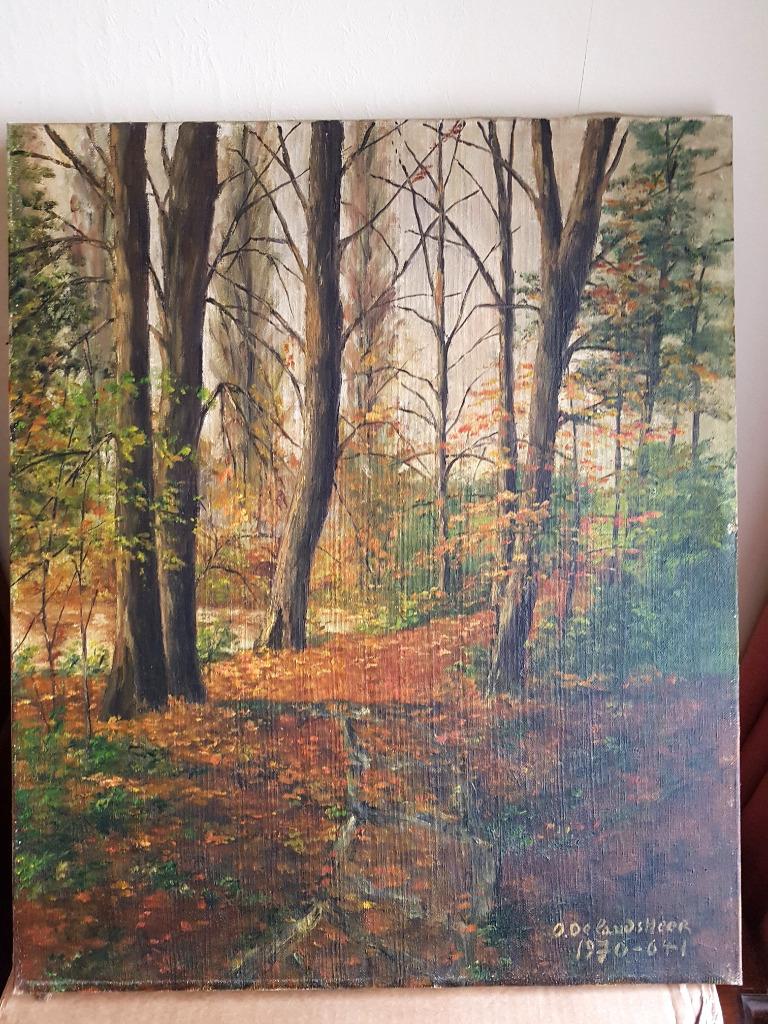 Schilderij van een kreupelhout, Antiek en Kunst, Kunst | Schilderijen | Klassiek, Ophalen of Verzenden