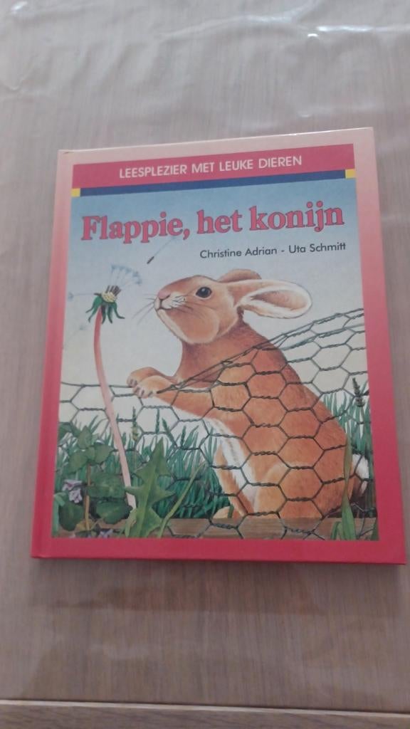 Flappie, le lapin, Garçon ou Fille, Comme neuf, 4 ans, Livre de lecture