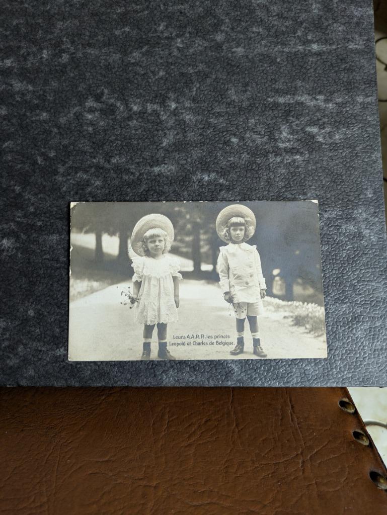 Prins Karel en prins Leopold, Enlèvement ou Envoi, Comme neuf, Carte, Photo ou Gravure