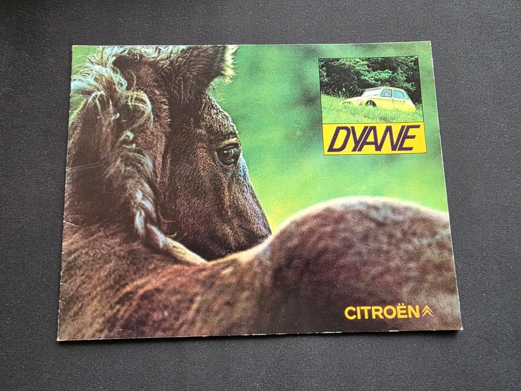 Brochure Citroën Dyane 1969, Boeken, Auto's | Folders en Tijdschriften, Ophalen of Verzenden, Citroën