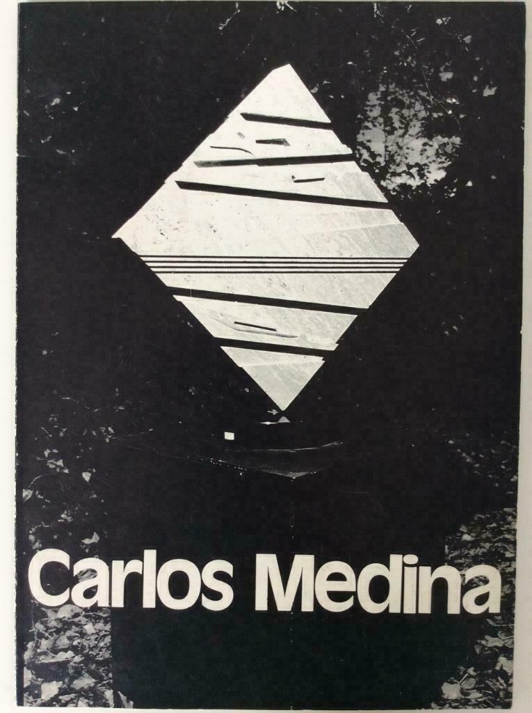Carlos Medina (C.M. Sint-Martens-Latem, 1980), Livres, Art & Culture | Arts plastiques, Enlèvement ou Envoi