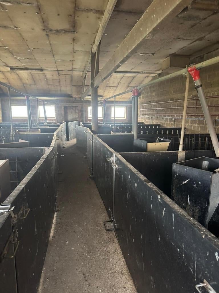 Paneltim panelen voor varkenshokken te koop, Dieren en Toebehoren