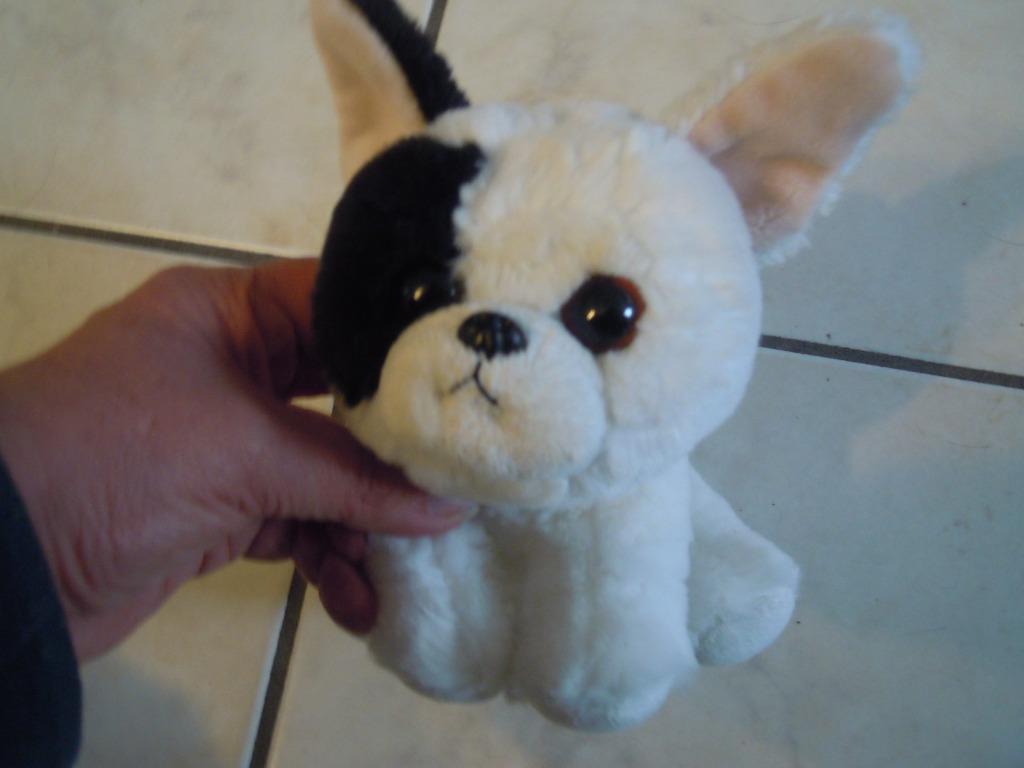 knuffel TY hond (doos P2), Ophalen of Verzenden, Nieuw, Hond