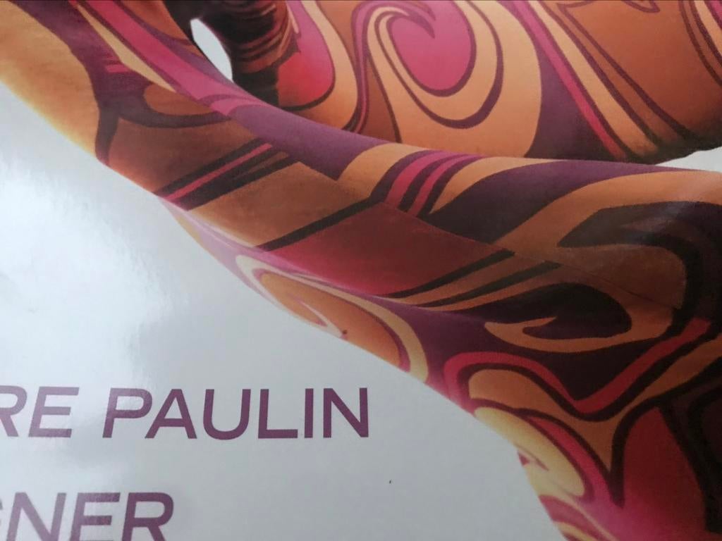 Dessin de Pierre Paulin, 50 pages, Enlèvement ou Envoi, Comme neuf, Autres sujets/thèmes