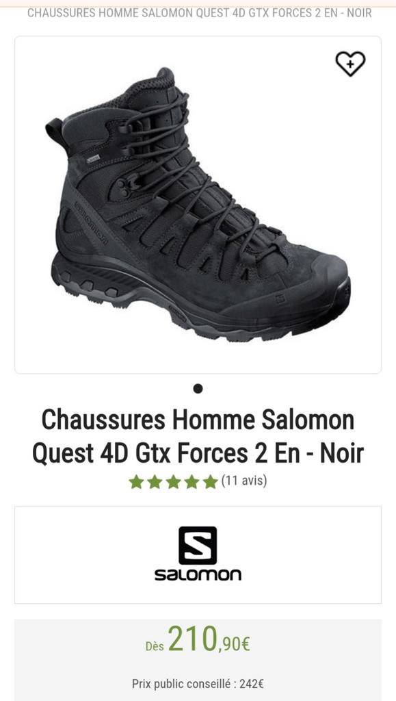 Chaussures Salomon Quest 4D GTX Forces 2 pointure 45, Enlèvement ou Envoi, Neuf, Chaussures