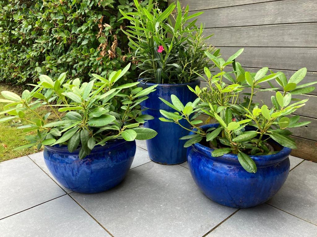 Keramiek - blauw geglazuurde bloempotten, Overige materialen, Rond, Zo goed als nieuw, Balkon