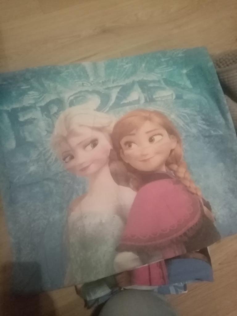 Dekbedovertrek frozen katoen, Ophalen, Zo goed als nieuw, Meisje, Dekbedovertrek