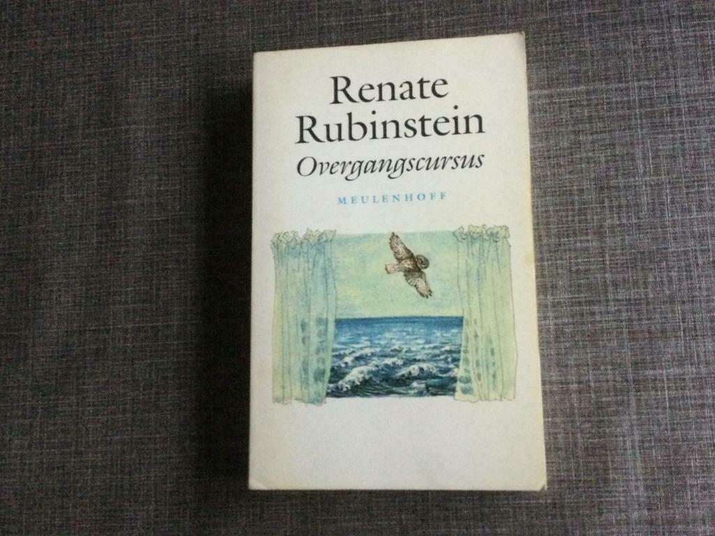 Overgangscursus//Renate Rubinstein, Gelezen, Ophalen of Verzenden, Renate Rubinstein, Eén auteur